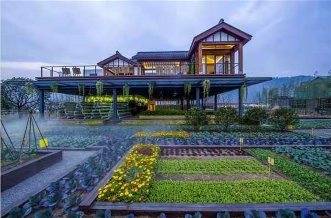 江苏南通海门天籁村枇杷园-印程旅游