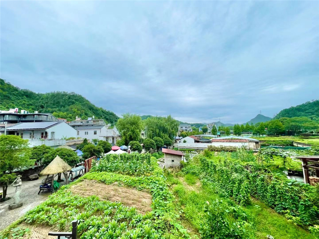 临开云体育- 开云体育官方网站- 开云体育APP 最新2025江市松岭雪村“赏花经济”带火农家乐