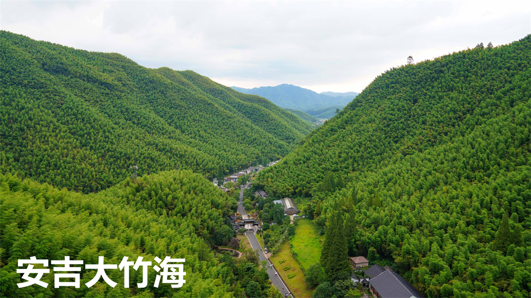 安吉大竹海