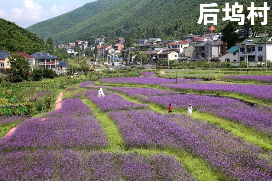 后坞村景区