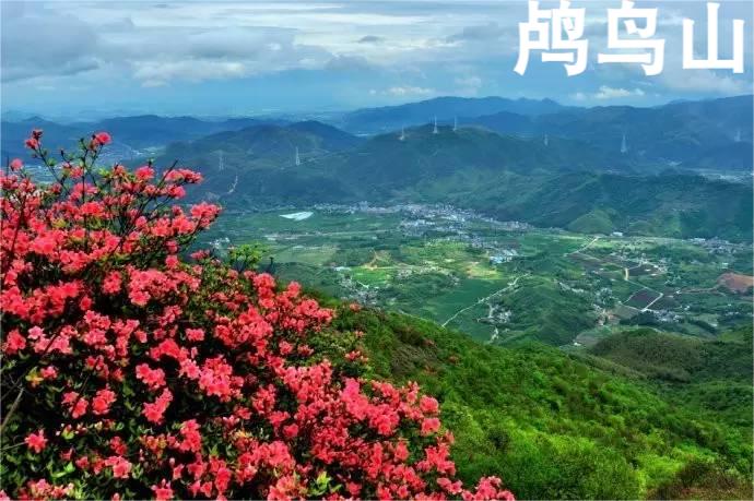 余杭鸬鸟山
