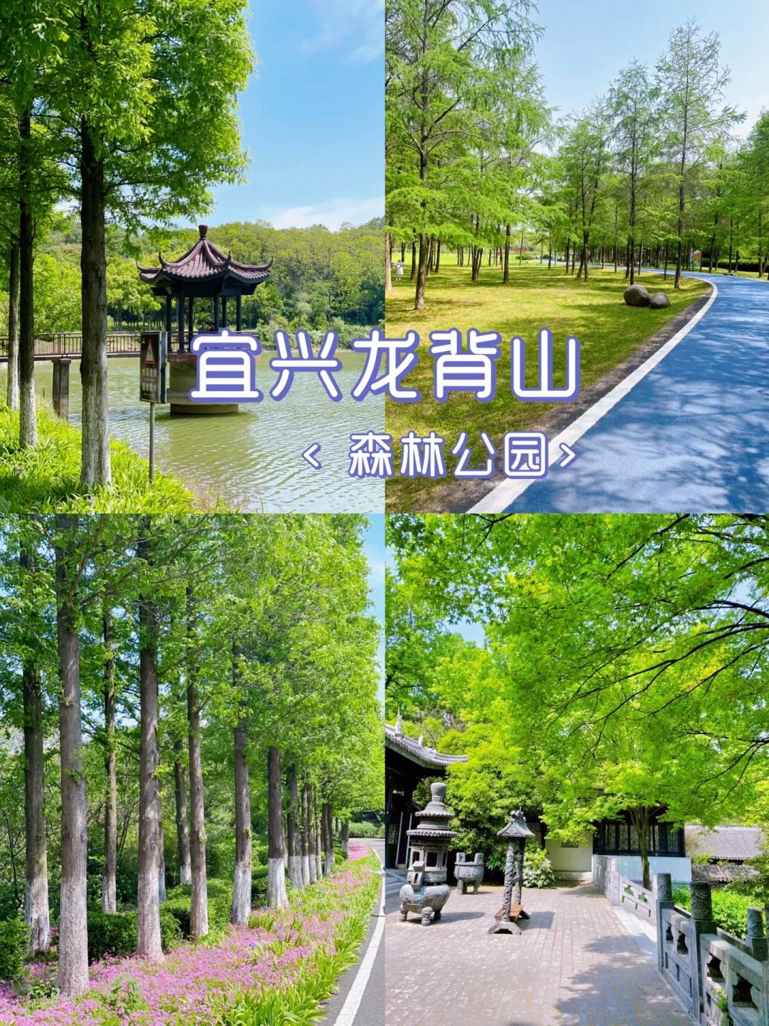 龙背山森林公园00 龙背山森林公园00