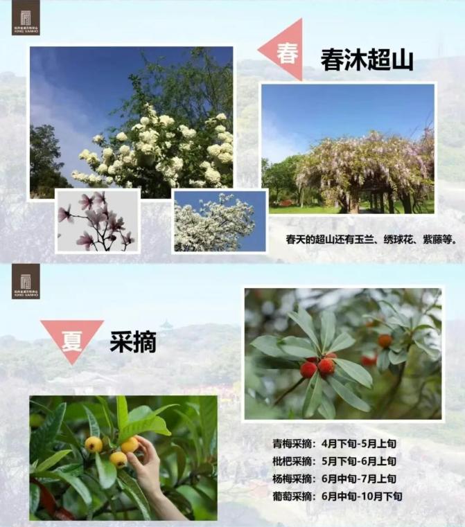 微信图片_20251104095634 微信图片_20251104095634