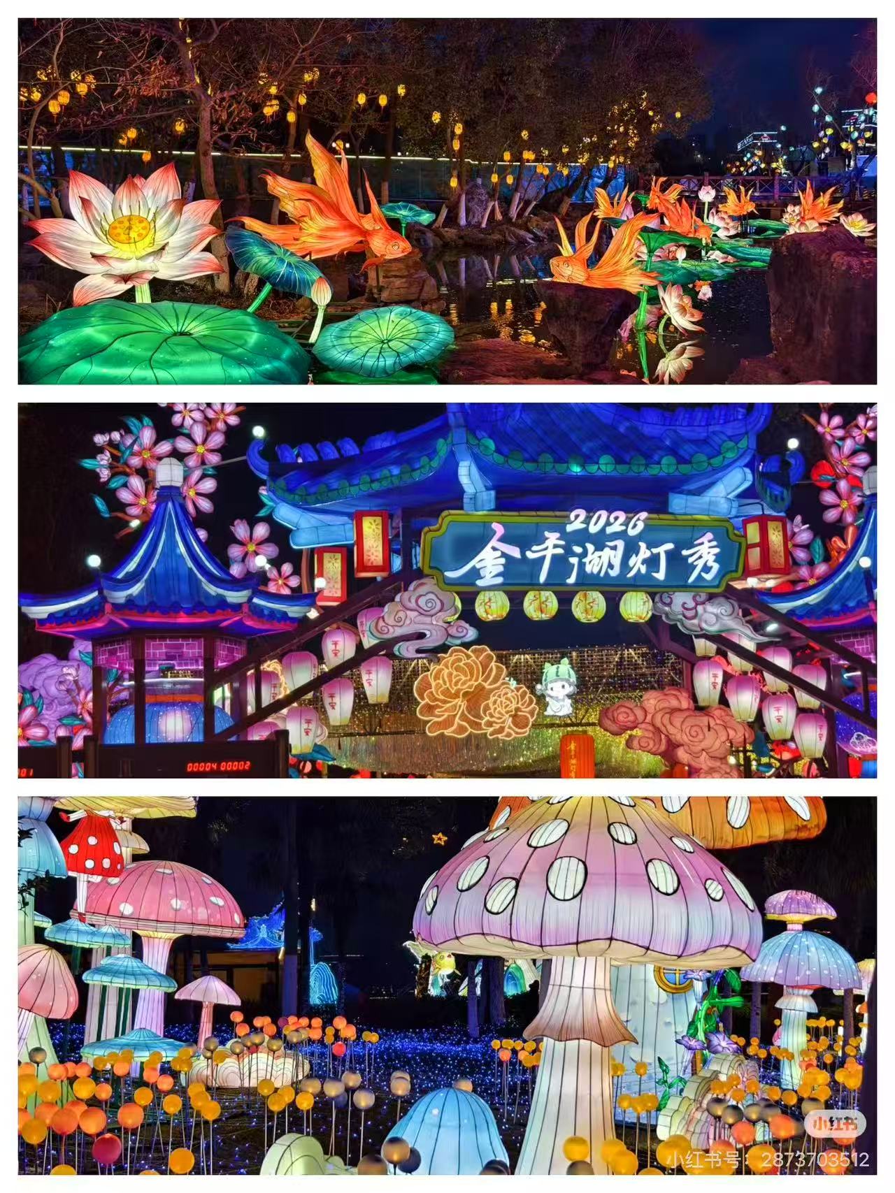 微信图片_202603011611491
